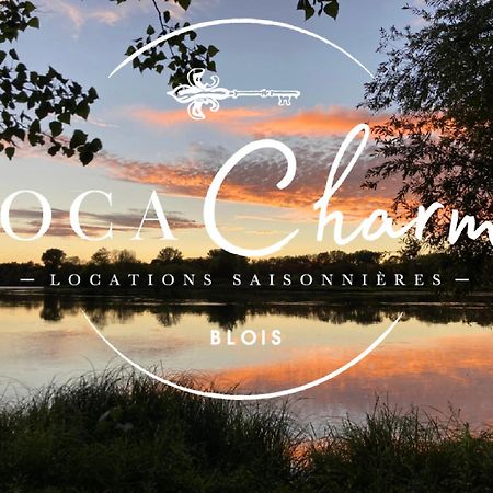 "Gite Les Futreaux" Vue Sur Loire & Linge Inclus Blois Ngoại thất bức ảnh